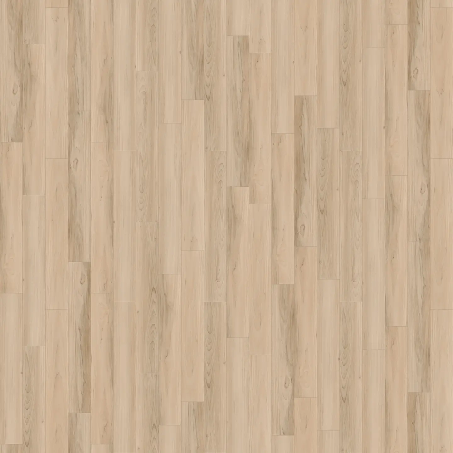 Timber Beach flooring installed in modern home